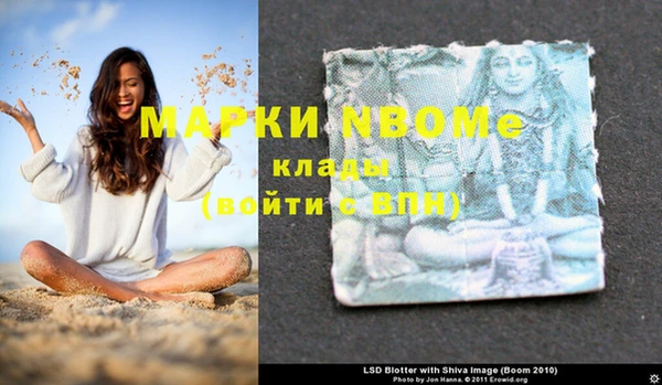 прущие грибы Абаза