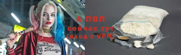 прущие грибы Абаза