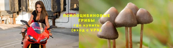 гидропоника Абдулино