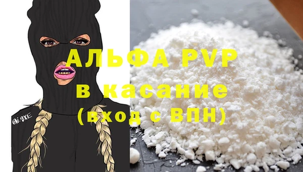 прущие грибы Абаза