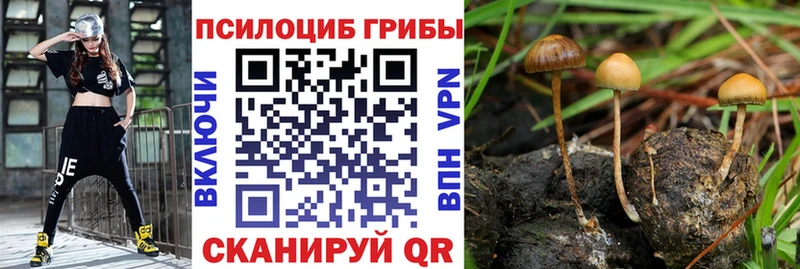 Галлюциногенные грибы мухоморы  Новопавловск 