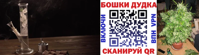 Шишки марихуана конопля  наркотики  Новопавловск 
